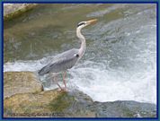 wochenbild-2024-05-27