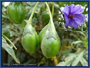 wochenbild-2024-06-24