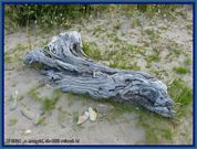 wochenbild-2024-08-12