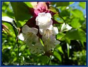 wochenbild-2024-09-09