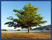 wochenbild-2024-09-23