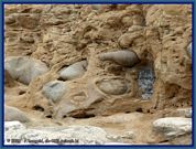 wochenbild-2026-03-09