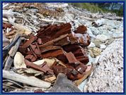 wochenbild-2026-05-11