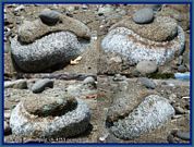 wochenbild-2026-05-25