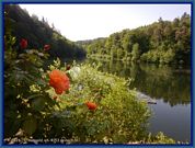 wochenbild-2026-06-01