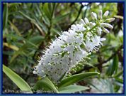 wochenbild-2026-06-08