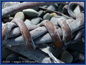 wochenbild-2026-07-20