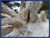 wochenbild-2026-08-03