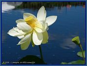 wochenbild-2026-08-24