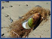 wochenbild-2026-09-07