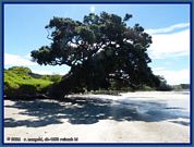 wochenbild-2026-09-14