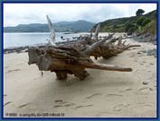 wochenbild-2026-10-12